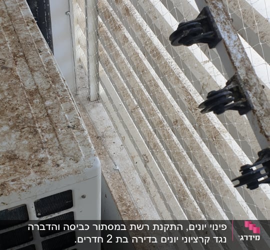 רשת למניעת כניסת יונים על חלון